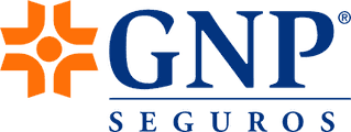 GNP